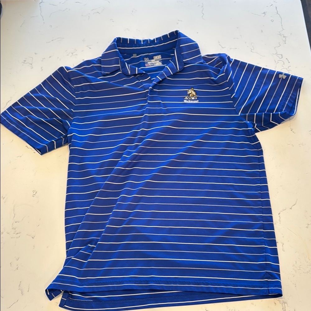 Kids Blue Striped Polo Shirt